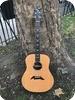 Breedlove D20 Brazilian Rosewood 2000-Natural