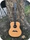 Breedlove D20 Brazilian Rosewood 2000 Natural