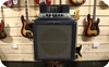 Ampeg B15  1965-Blue Checked Tolex