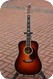 Blazer & Henkes D-45 2010-Sunburst