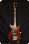 Washburn Parts Guitar Brown