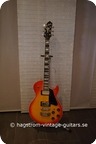 Hagstrom Super Swede 1980 Golden Sunburst