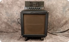 Ampeg B15 NF 1966 Blue Checked Tolex