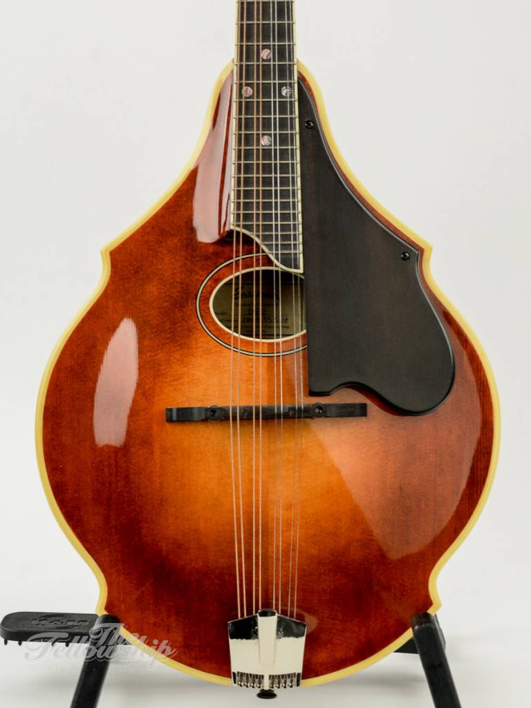 Eastman David Grisman DGM2 Mandolin Stringed Instrument For