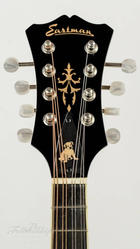 David Grisman's Mandolin Workshop Tricks of the Trade