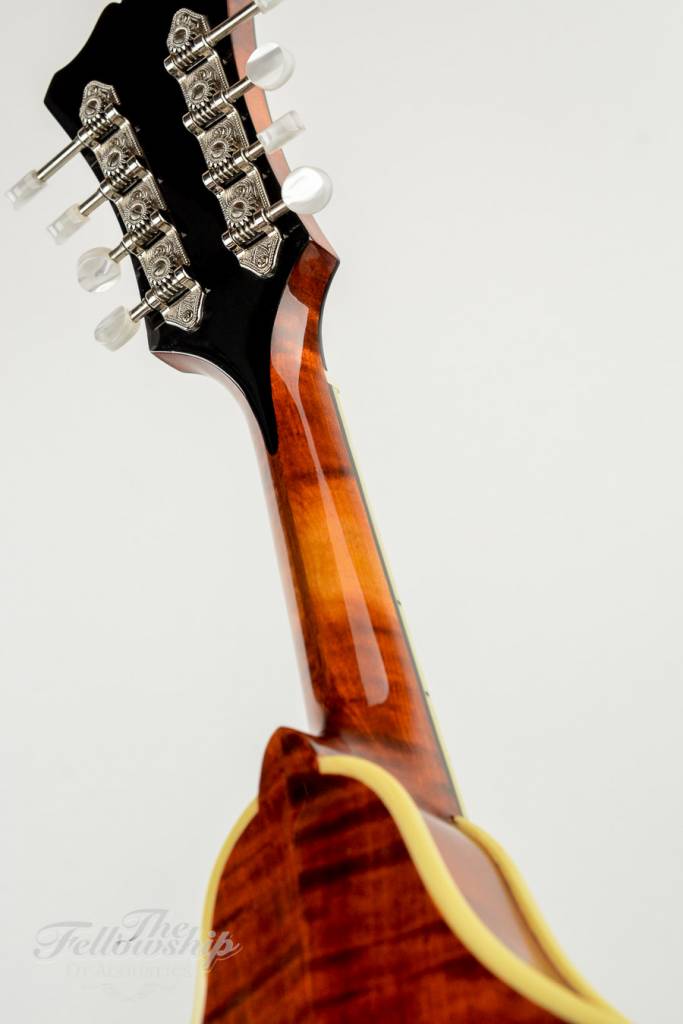 Eastman David Grisman DGM2 Mandolin Stringed Instrument For