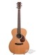 Martin OM21 Adirondack 49mm Neck Double G String