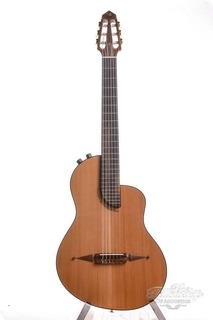 Rick Turner Rn6 Renaissance Nylon Cedar/mahogany B Stock