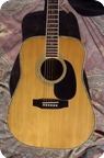 Pro Martin Custom W 200 1975 Natural