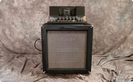 Ampeg B15 Nf 1966 Blue Checked Tolex