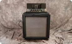 Ampeg B15 NF 1966 Blue Checked Tolex