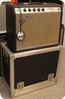 Fender Princeton Amp 1969