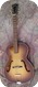 Hofner Congress 449 1962 Violin Sunburst