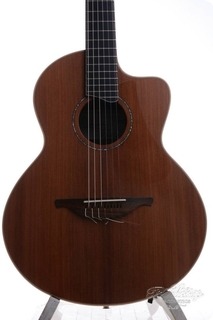 Lowden S35j Cocobolo Sinker Redwood Nm 2017