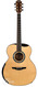 Avalon L2 350B Double Bevel Australian Blackwood