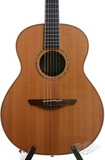 Avalon S380 Cocobolo Spruce Nm 2013