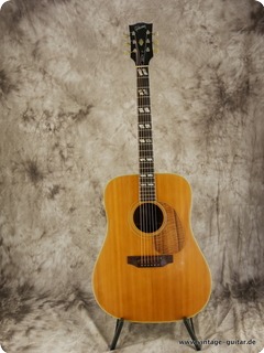 Gibson Sjn Deluxe Natural