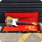 Fender Telecaster With Factory Fit Bigsby 1969 Sunburst