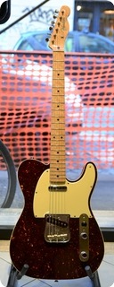 Fender Telecaster Masterbuilt 2015 Tortoise Covered 