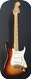 Fender Stratocaster 1975
