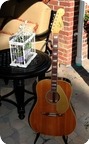Fender Kingman FEE1000 1968