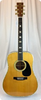 Martin D 41 1974 Natural