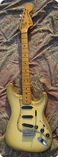 Fender Stratocaster 1979 Antigua