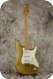 Fender Stratocaster The Gold-Gold