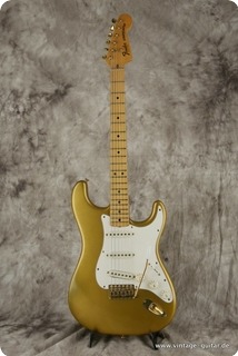 Fender Stratocaster The Gold Gold