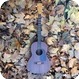 C. F. Martin Co Tenor Guitar Natural Mahogany