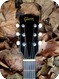 Gibson J50 1954-Natural