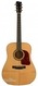 Gallagher G55 Dreadnought 2011