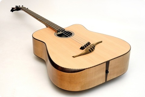 Stoll Guitars Iq Acoustic Bass Custom