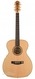 Maton W.A. May T 70th Anniversary AP5 Pro Mint