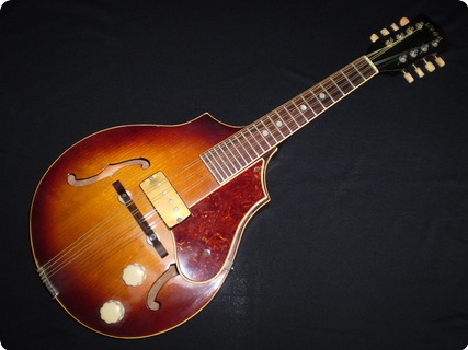 Vega D100f 1946 Sunburst