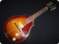 Vega D100F 1946 Sunburst