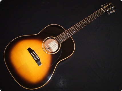 Avalon D300a 2008 Sunburst