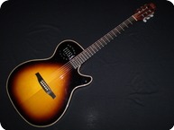 Godin Guitars Multiac Steel Duet Ambiance 2014 Sunburst