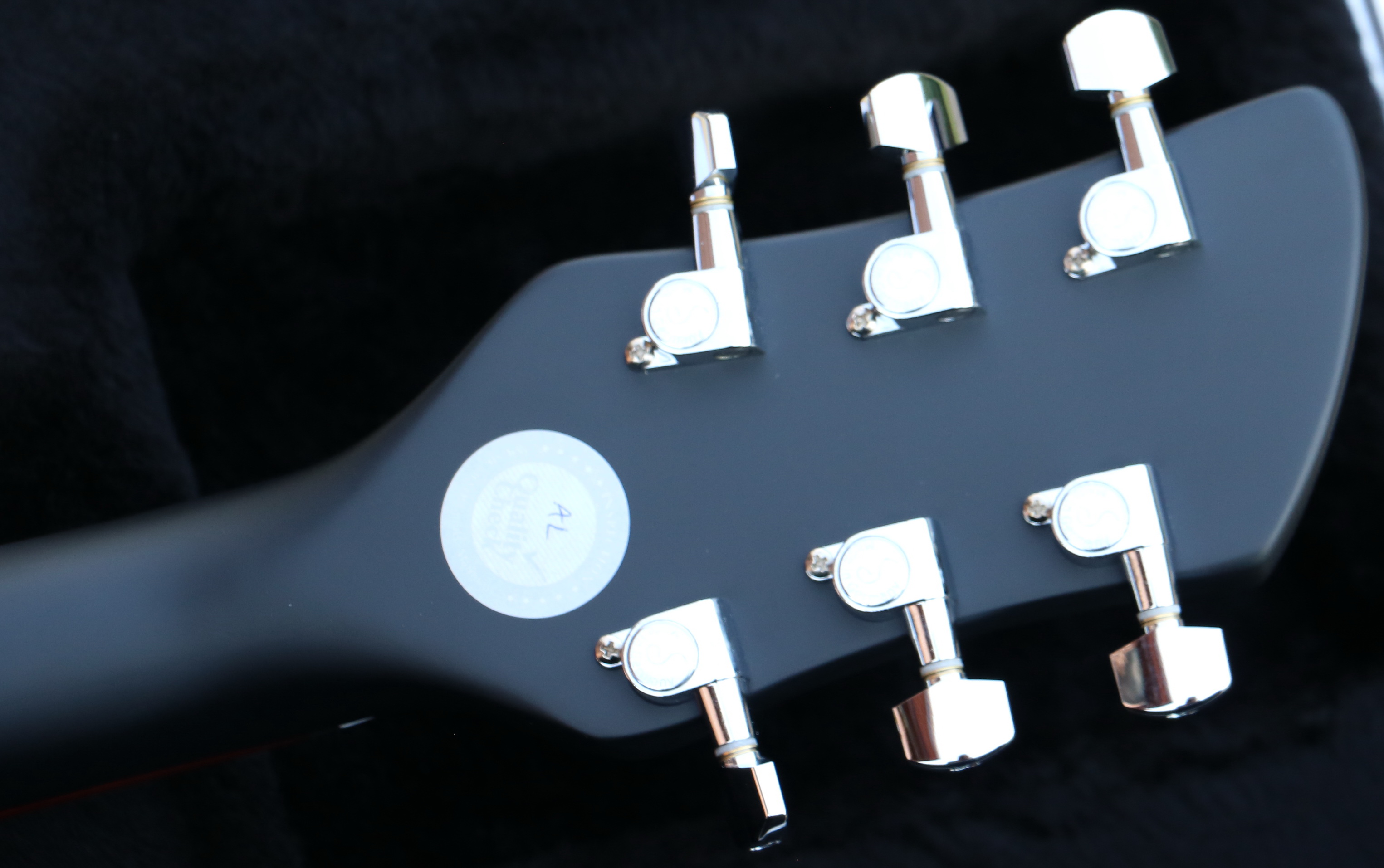 rickenbacker 325 matte blavk rickenbacker 325 matte blavk