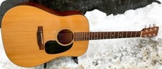 Martin D18 1973