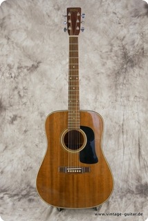 Washburn D 15m Natural