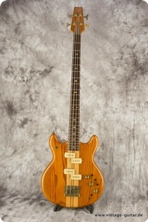 Vantage Devil Bass Va 900b Natural