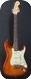 Fender Stratocaster Masterbuilt 2007