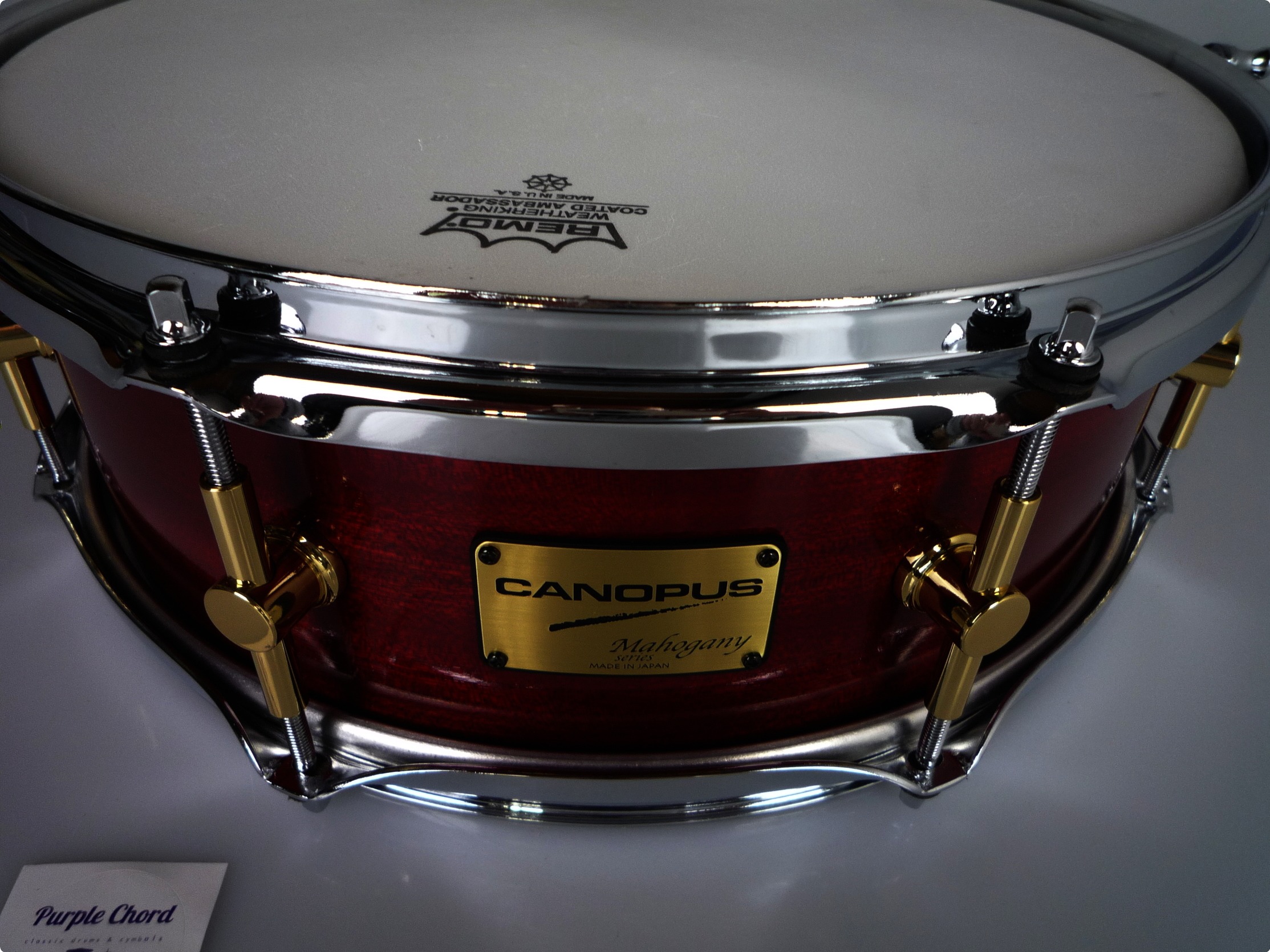 Canopus Drums Mahogany Series 2015 Light Bordeaux Drum For Sale Purple