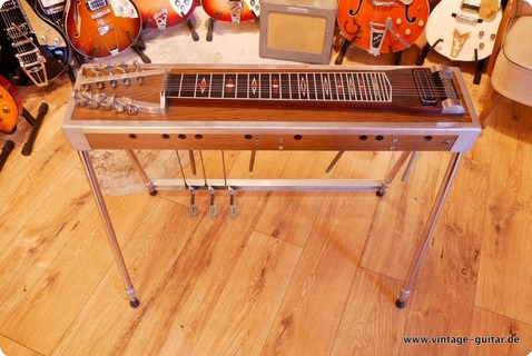 Dekley 10 String Pedal Steel Guitar Metal