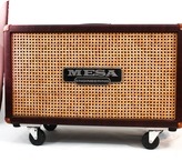 Mesa Boogie 212 Cabinet Custom BEGAGNAD