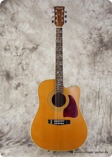 Ibanez Aw 95 Ce Dx 1998 Natural