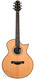 Eichelbaum Grand Auditorium Cutaway Rosewood Spruce 2003 Eichelbaum Grand Auditorium Cutaway Rosewood Spruce 2003