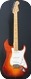 Fender Stratocaster Select Series 2012