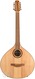 Dreizehnter Heiner Bouzouki - Cittern 10 String 2007